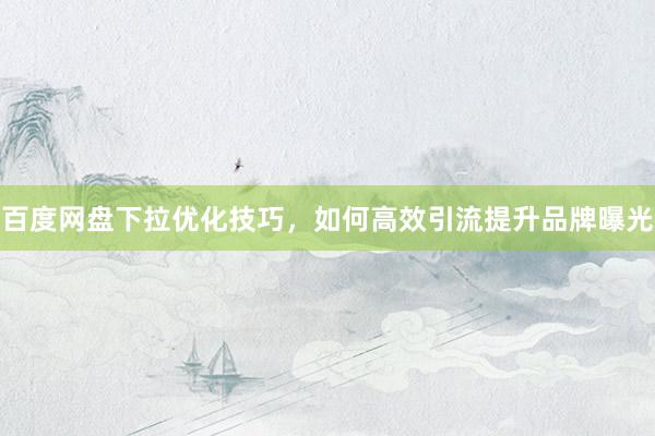 百度网盘下拉优化技巧，如何高效引流提升品牌曝光