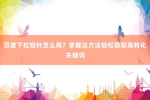 百度下拉短针怎么用？掌握这方法轻松获取高转化关键词
